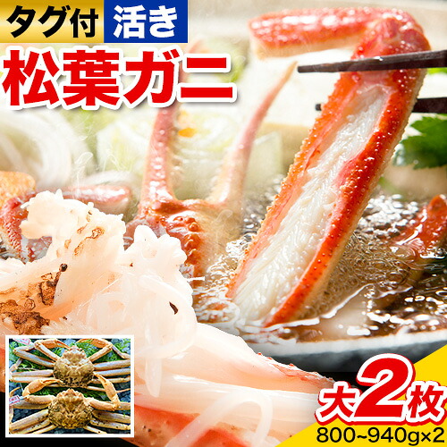 【ふるさと納税】【先行予約】【活き】タグ付き松葉ガニ 大2枚入り(1枚あたり800～940g) 高間商店《2026年11月中旬-2027年3月下旬頃出荷》鳥取県 八頭町 送料無料 カニ 蟹 松葉ガニ タグ付き ブランド