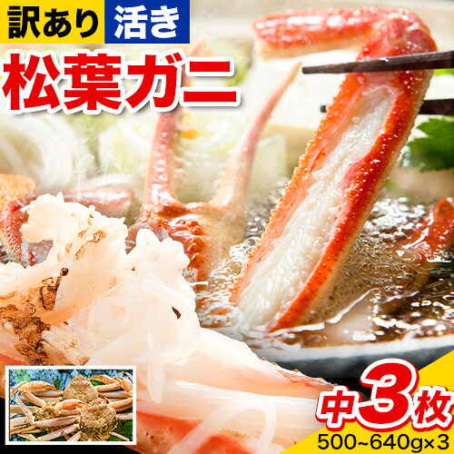 【ふるさと納税】【先行予約】【活き】訳あり 松葉ガニ 中 3枚(1枚/500~640g前後) 高間商店《2026年11月中旬-2027年3月下旬頃出荷》鳥取県 八頭町 送料無料 カニ 蟹 かに 訳あり 鍋 珍味 冬 グルメ ズワイガニ|鳥取県八頭町