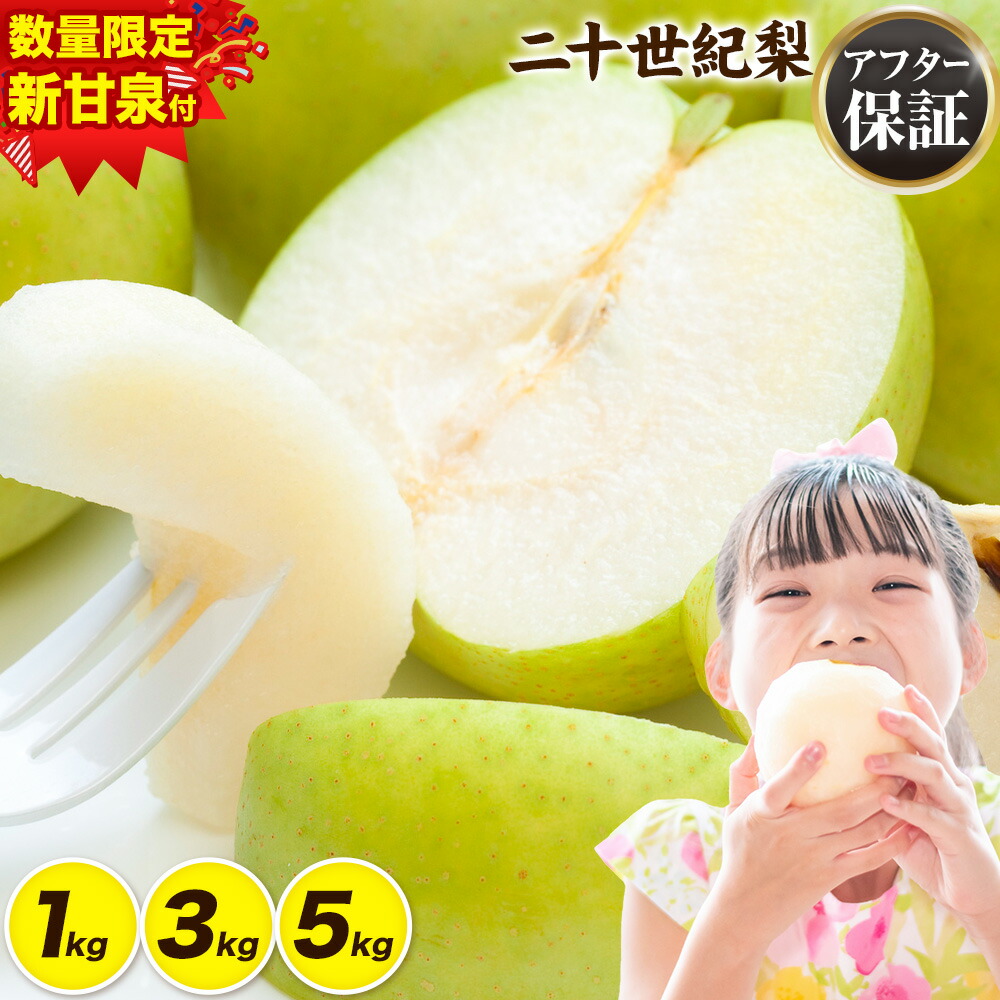 【ふるさと納税】新甘泉 食べ比べ 便 登場 ご家庭用 梨 なし 二十世紀梨 選べる 約1kg (2~5玉) 約3kg (6~15玉) 約5kg (10~25玉) 《2026年8月下旬-9月下旬頃出荷》二十世紀梨 梨 ご家庭用 旬 二十世紀 鳥取県 八頭町 なし 果物 フルーツ 特産品 デザート訳あり