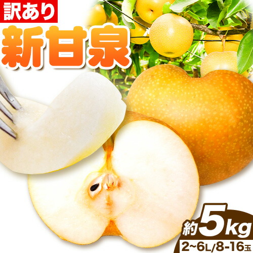 【ふるさと納税】【2025年先行予約】訳あり 新甘泉 約5kg (8~16玉) 2L~6Lサイズ《2025年8月下旬-10月上旬頃出荷》新甘泉 梨 訳あり ご家庭用 鳥取県 八頭町 なし 果物 フルーツ 特産品 送料無料 果汁 デザート 八頭