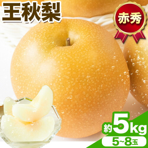 【ふるさと納税】【先行予約】王秋梨 赤秀 約5kg (5~8玉) JA鳥取いなば《2025年11月上旬-11月末頃出荷》鳥取県 八頭町 梨 なし ナシ 果物 フルーツ  ふるさと納税 送料無料 王秋梨 果実 果汁 常温便