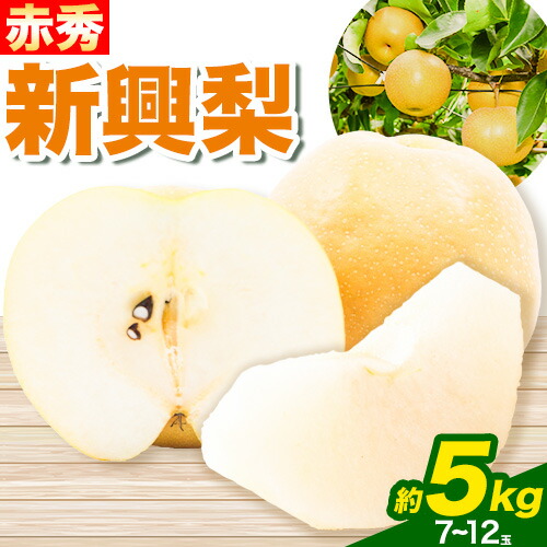 【ふるさと納税】【先行予約】新興梨 赤秀 約5kg (7~12玉) JA鳥取いなば《2025年10月中旬-11月中旬頃より順次出荷》鳥取県 八頭町 梨 なし ナシ 果物 フルーツ  ふるさと納税 送料無料 新興梨 果実 果汁 常温便