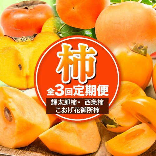 【ふるさと納税】【先行予約】【全3回定期便】八頭の柿スペシャルコース 赤秀 青秀 特秀 《2025年10月上旬-12月下旬頃出荷》JA鳥取いなば 鳥取県 八頭町 柿 かき 果物 フルーツ 定期便 頒布会 輝太郎柿 西条柿 こおげ花御所柿