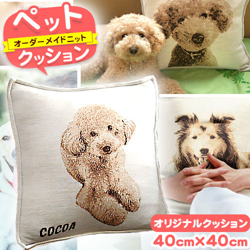 【ふるさと納税】ペットオーダーメイドニット クッション 有限会社 三浅あみものセンター 《90日以内に出荷予定(土日祝除く)》鳥取県 八頭町 思い出 オーダーメイド クッション ペット ニット|鳥取県八頭町