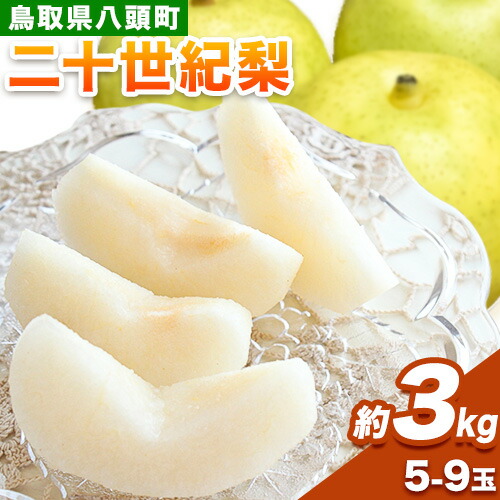 【ふるさと納税】【先行予約】 梨 二十世紀梨 約3kg (5～9玉入り) 旬菜まるや 《9月中旬-10月上旬頃出荷》 鳥取県 八頭町 送料無料 なし 二十世紀 果物 フルーツ お取り寄せ 3kg
