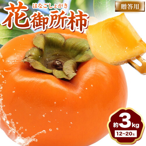 【ふるさと納税】【2025年先行予約】贈答用 花御所柿 約3kg 野田農園《2025年11月下旬から12月下旬出荷予定》鳥取県 八頭町 柿 かき カキ 果物 フルーツ  ふるさと納税 送料無料 花御所柿 果実 果汁 常温便