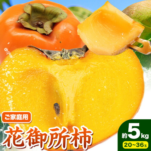 【ふるさと納税】【2025年先行予約】ご家庭用 花御所柿 約5kg 野田農園《2025年11月下旬から2025年12月下旬出荷予定》鳥取県 八頭町 柿 かき カキ 果物 フルーツ  ふるさと納税 送料無料 花御所柿 果実 果汁 常温便