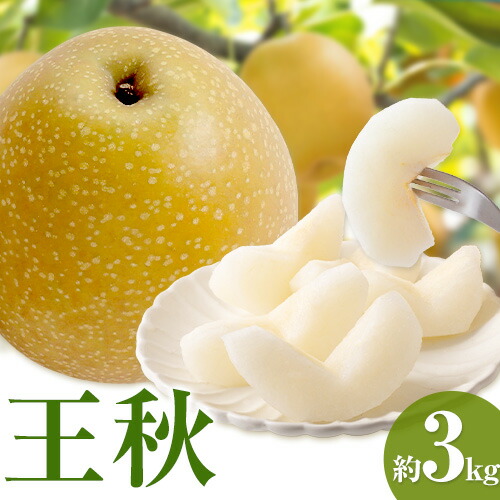 【ふるさと納税】【先行予約】王秋梨 約3kg (4から6玉) 野田農園《2025年10月上旬から12月中旬出荷予定》鳥取県 八頭町 梨 なし ナシ 果物 フルーツ  ふるさと納税 送料無料 王秋梨 果実 果汁 常温便