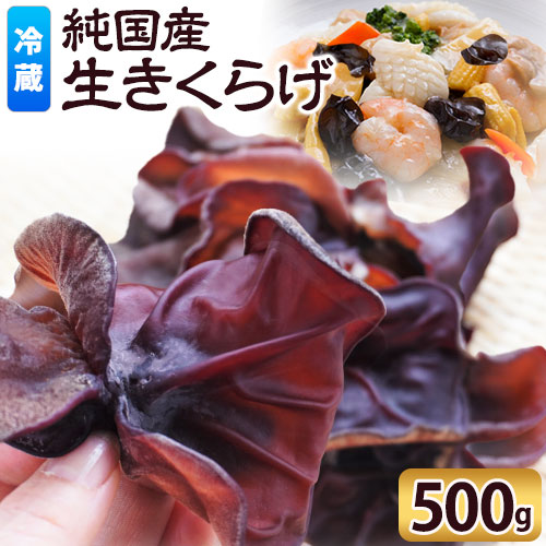 【ふるさと納税】純国産生きくらげ500g 株式会社ダブルノット《90日以内に発送予定(土日祝除く)》鳥取県 八頭町 きくらげ 生きくらげ ちゃんぽん 国産 中華料理 サラダ みそ汁