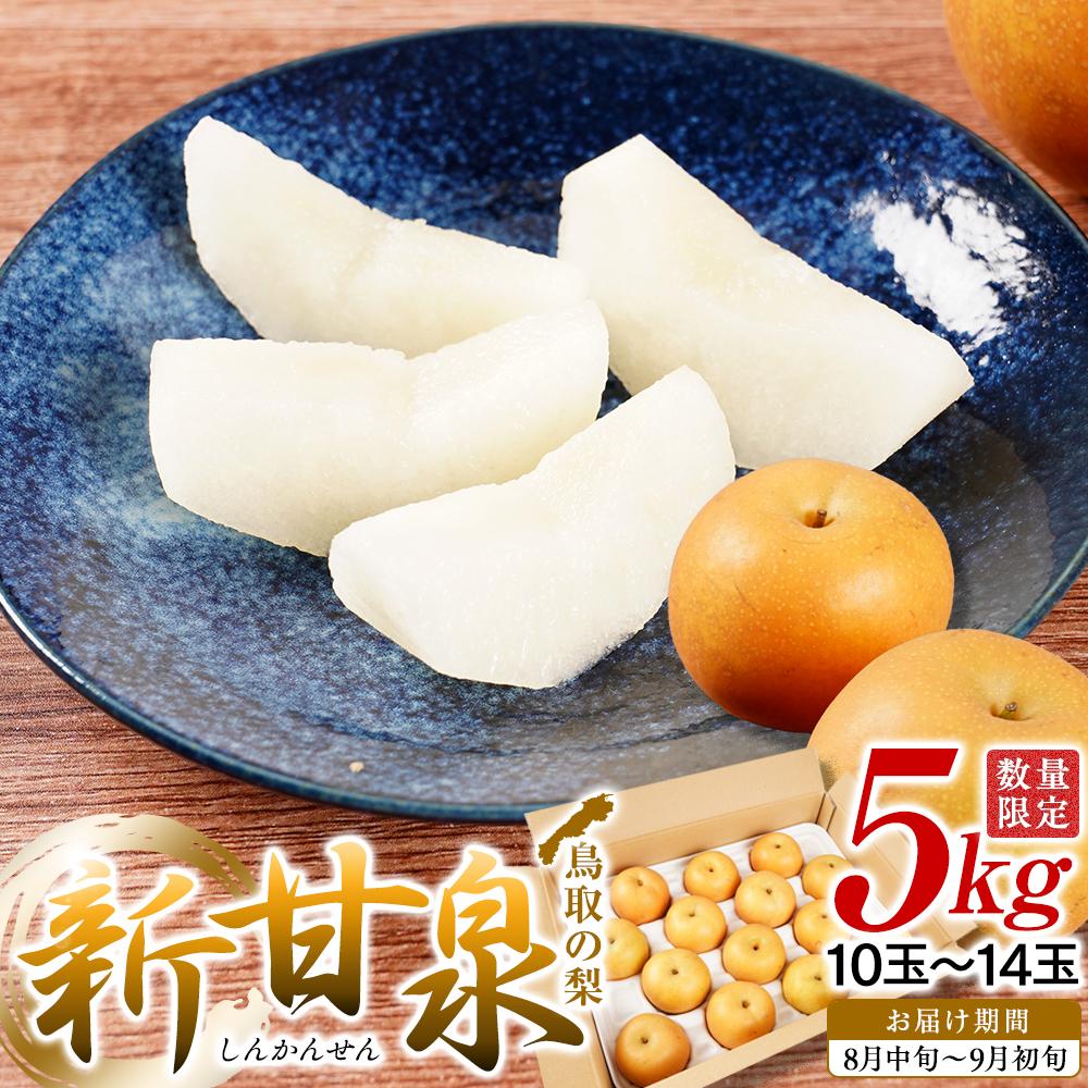 【ふるさと納税】梨 新甘泉梨 5kg ( 5kg × 1箱 ) | フルーツ 果物 くだもの 食品 人気 おすすめ 送料無料