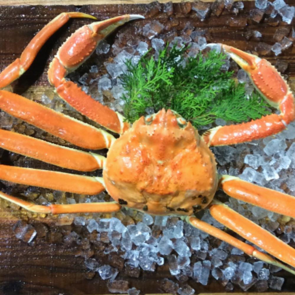 【ふるさと納税】【魚倉】足１本なしボイル松葉ガニ(大800ｇ)訳あり | 国産 訳あり ズワイガニ 松葉ガニ カニ 蟹 かに ボイル カニ鍋 かに鍋 鍋 かにしゃぶ かにみそ 期間限定 送料無料 鳥取県 三朝町