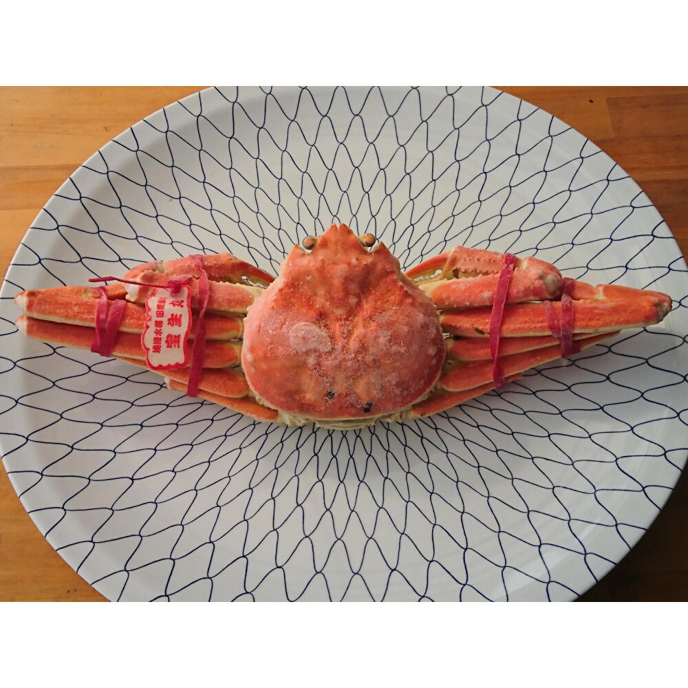 【ふるさと納税】カニ 松葉ガニ ボイル 冷凍 カニ酢付き 1枚(約500g)