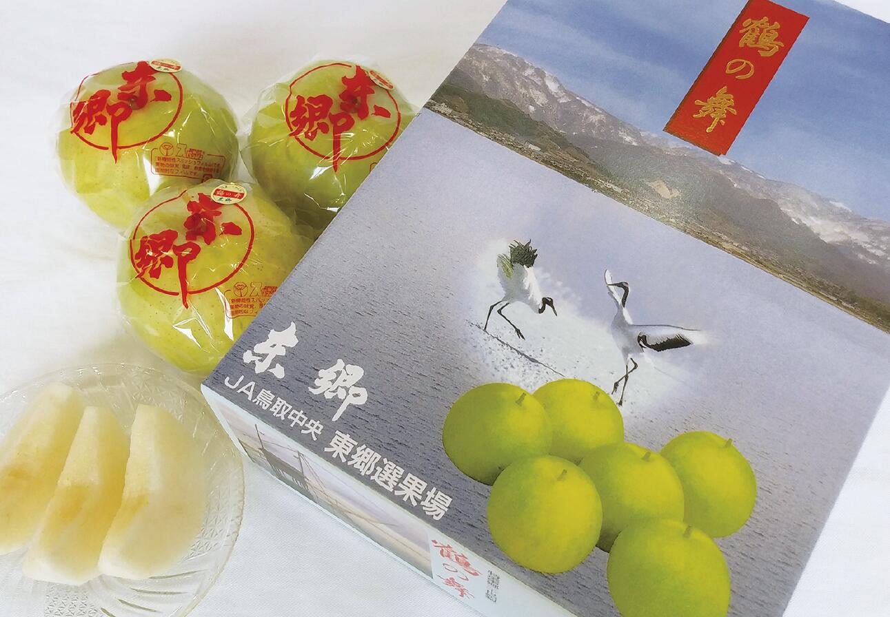 楽天市場】【ふるさと納税】湯梨浜東郷名産 二十世紀5kg〔訳あり 楽天市場】【ふるさと納税】湯梨浜東郷名産 二十世紀5kg〔訳あり