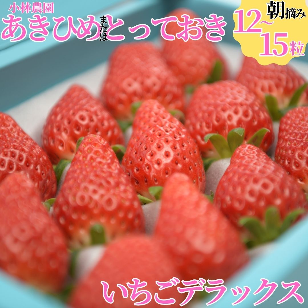 【ふるさと納税】■小林農園■いちごデラックス