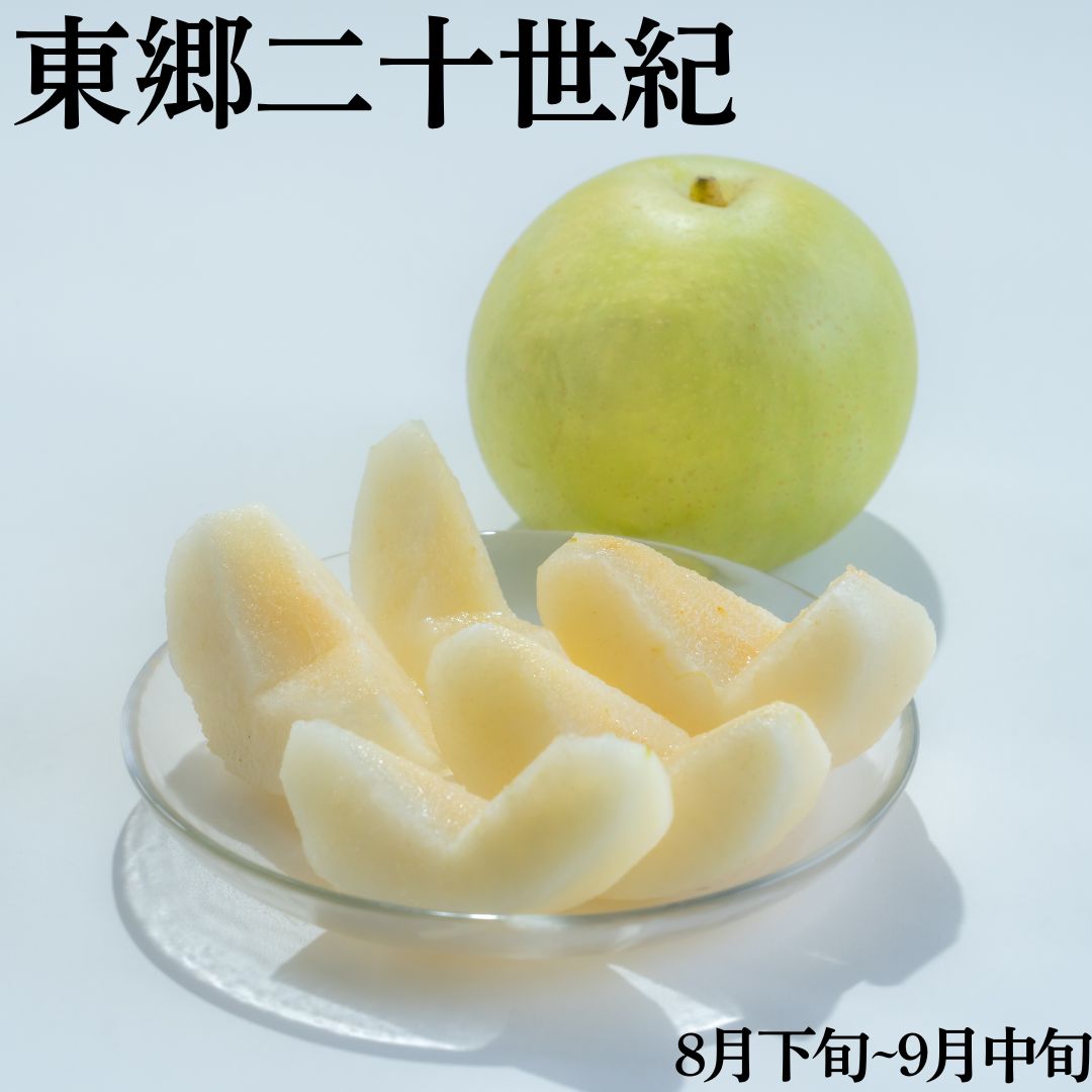 【ふるさと納税】東郷二十世紀