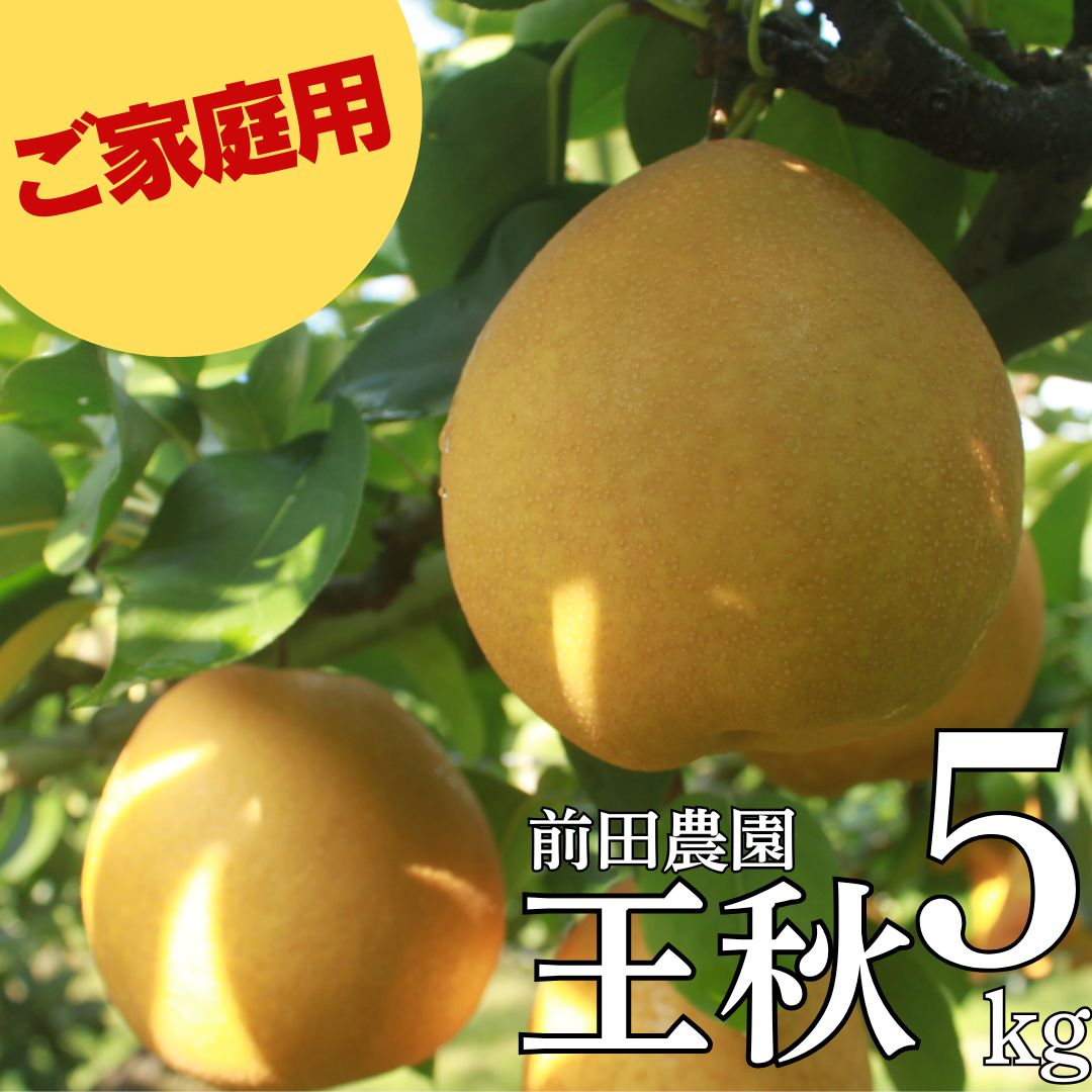 【ふるさと納税】■前田農園■王秋5kg〔ご家庭用〕