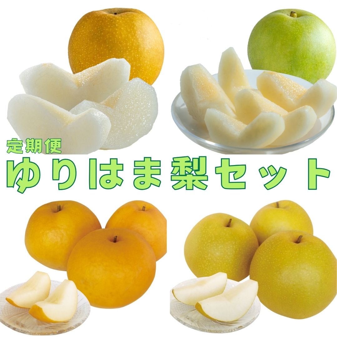 【ふるさと納税】ゆりはま梨セット