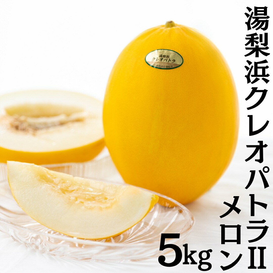 【ふるさと納税】湯梨浜クレオパトラ2メロン5kg