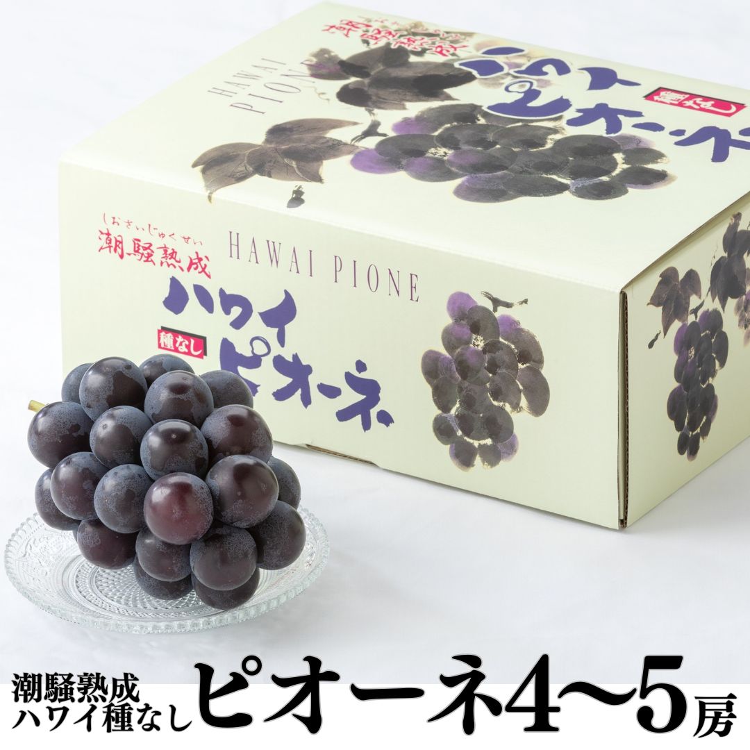 【ふるさと納税】潮騒熟成ハワイ種なしピオーネ4～5房