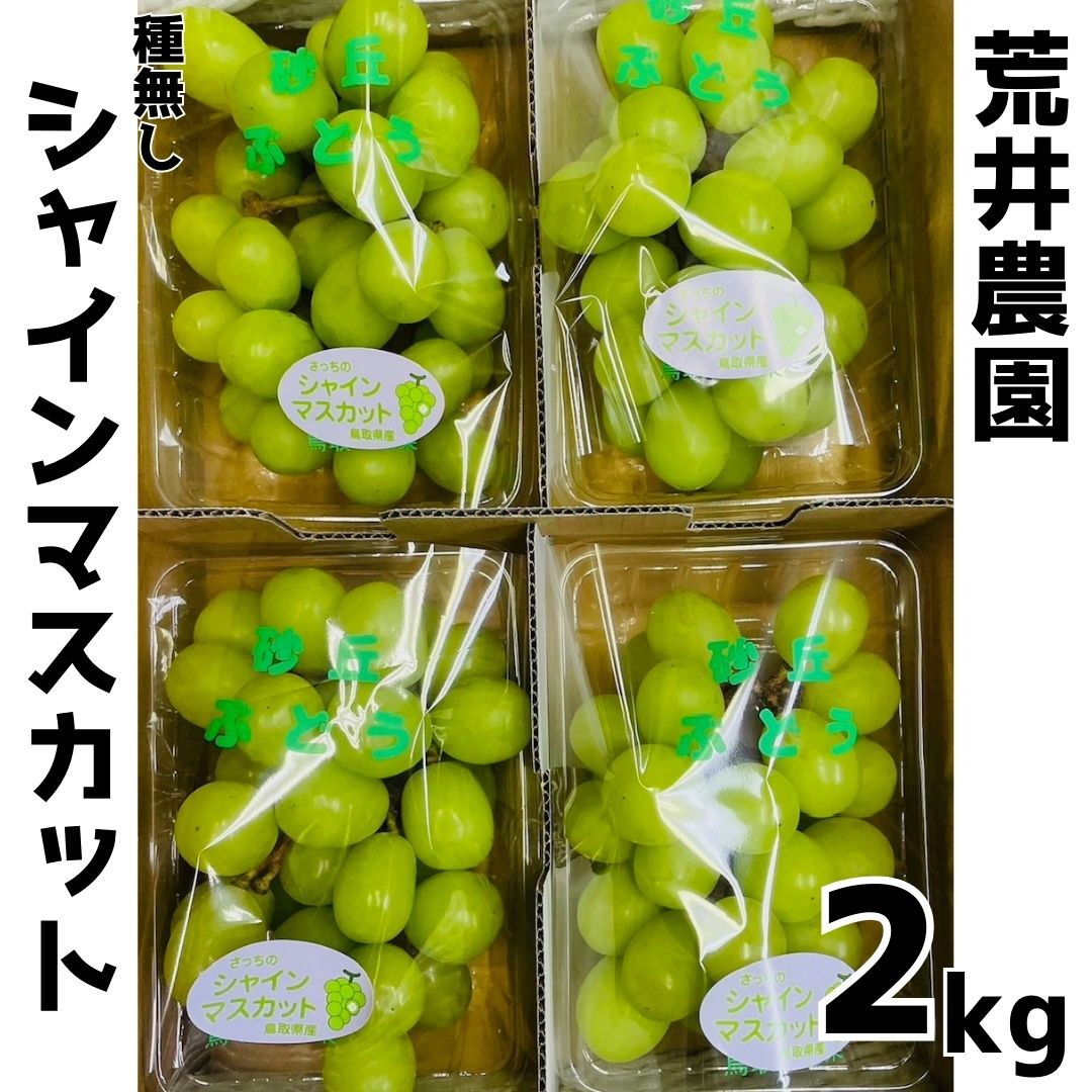 【ふるさと納税】■荒井農園■種無しシャインマスカット2kg