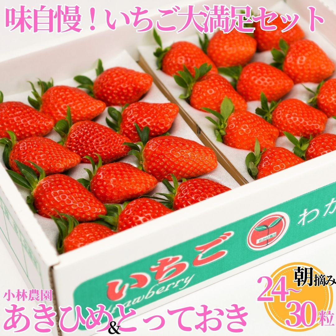 【ふるさと納税】■小林農園■味自慢！いちご大満足セット