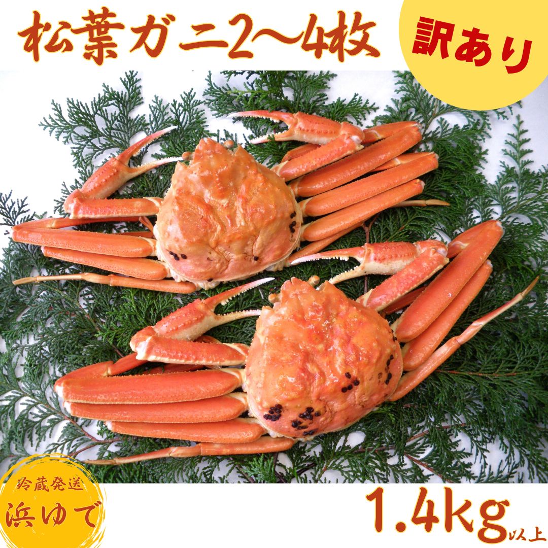 ふるさと納税 44J.蔵出し潮騒熟成特選ハワイ種なしシャインマスカット1房 鳥取県湯梨浜町 潮騒熟成特選ハワイ種なしシャインマスカット1房(28K.) | 鳥取県湯梨