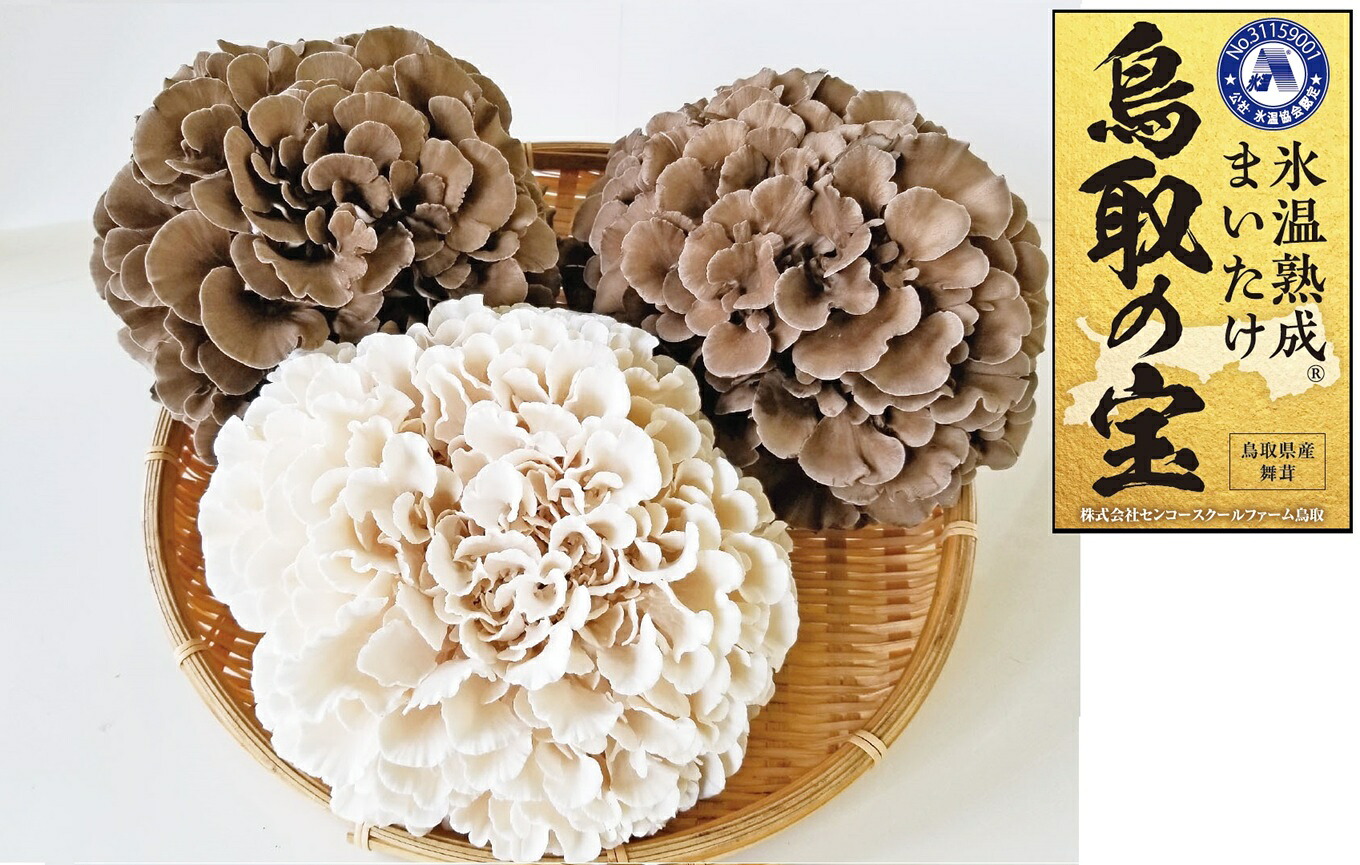 【ふるさと納税】氷温熟成舞茸『鳥取の宝』と白まいたけの食べ比べセット