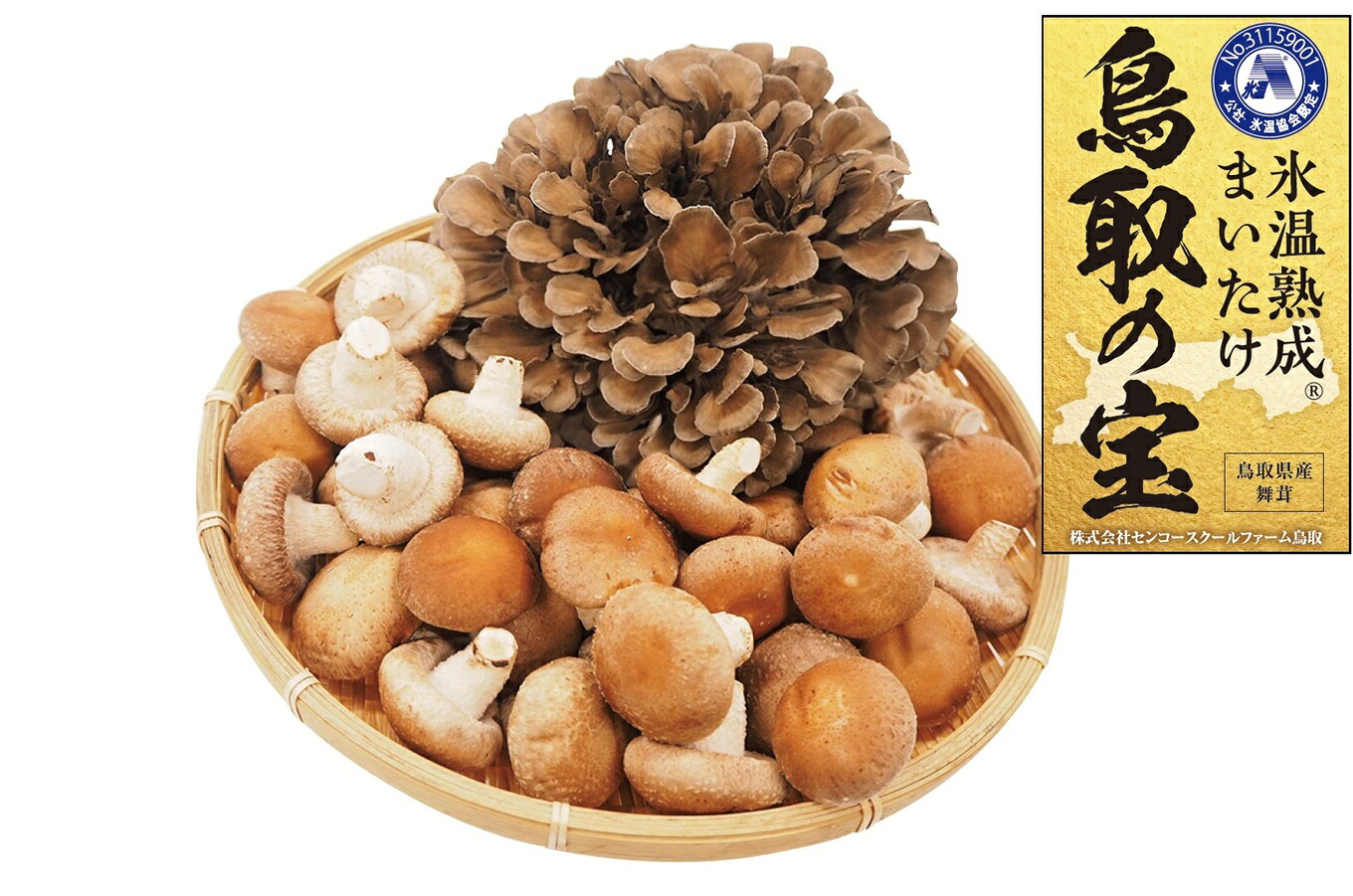 【ふるさと納税】氷温熟成舞茸『鳥取の宝』とどっさりしいたけの満ぷくセット