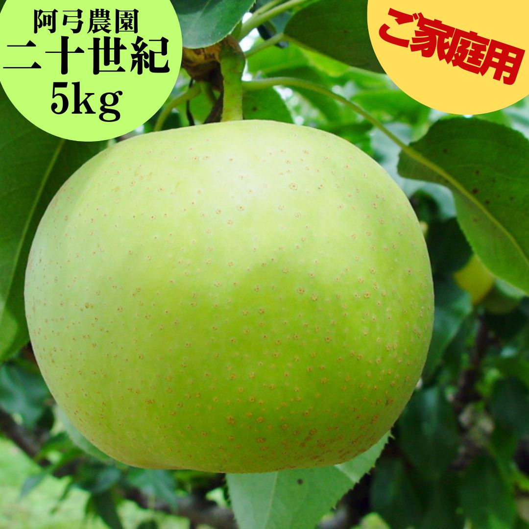 【ふるさと納税】■阿弓農園■二十世紀5kg〔ご家庭用〕