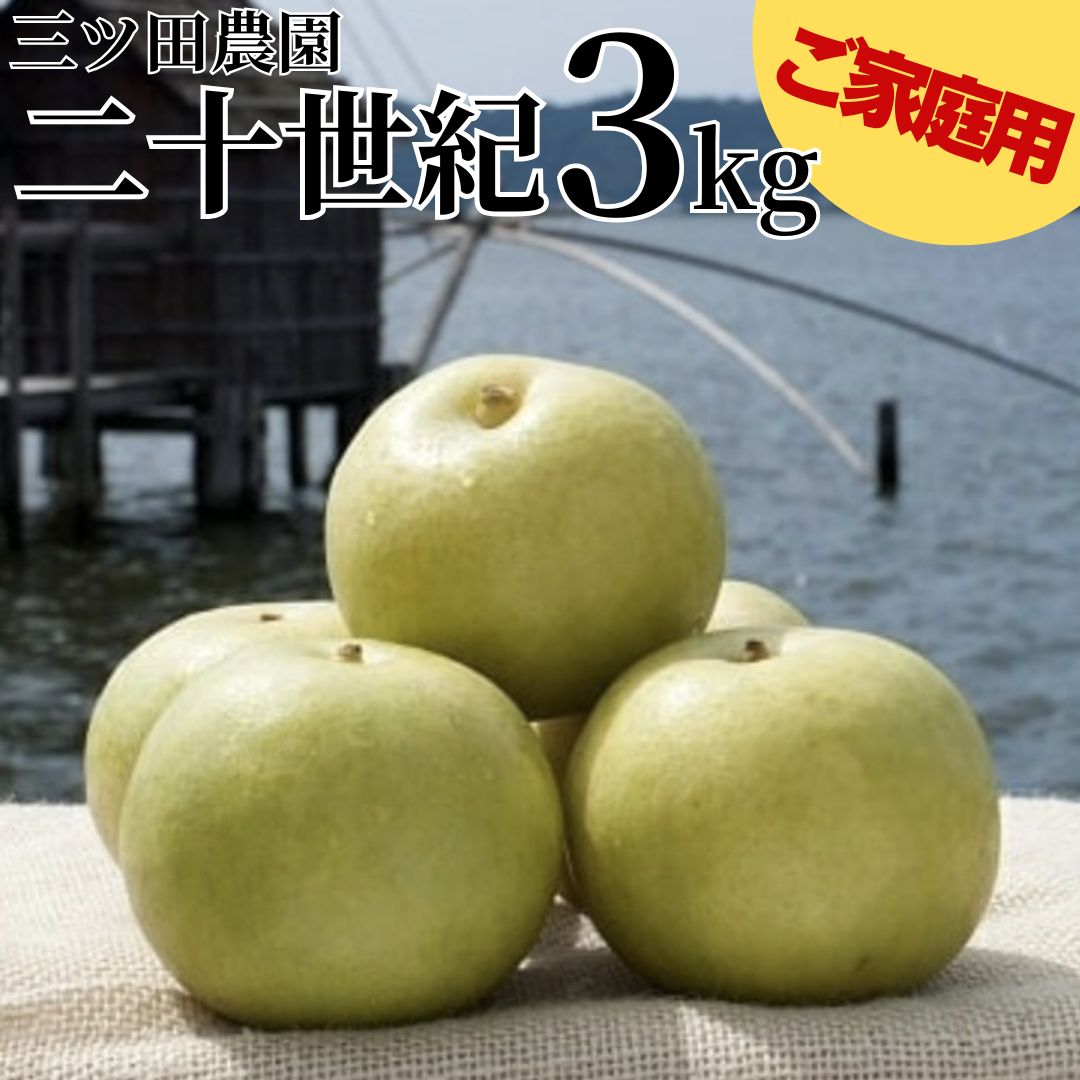 【ふるさと納税】■三ツ田農園■二十世紀3kg〔ご家庭用〕