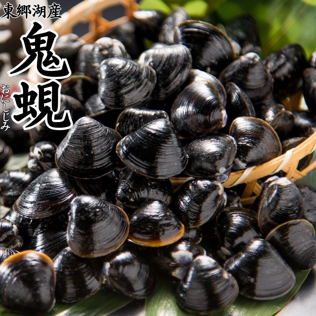 【ふるさと納税】東郷湖産鬼蜆