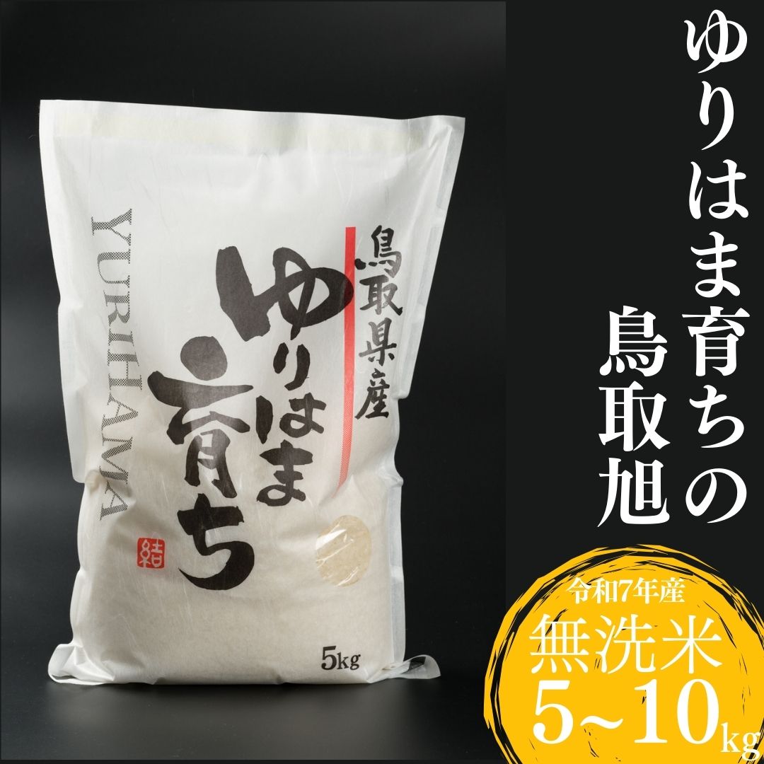 【ふるさと納税】 鳥取旭 お米 無洗米 5kg 10kg 令和7年産 | ゆりはま育ち 銘柄米｜鳥取県湯梨浜町