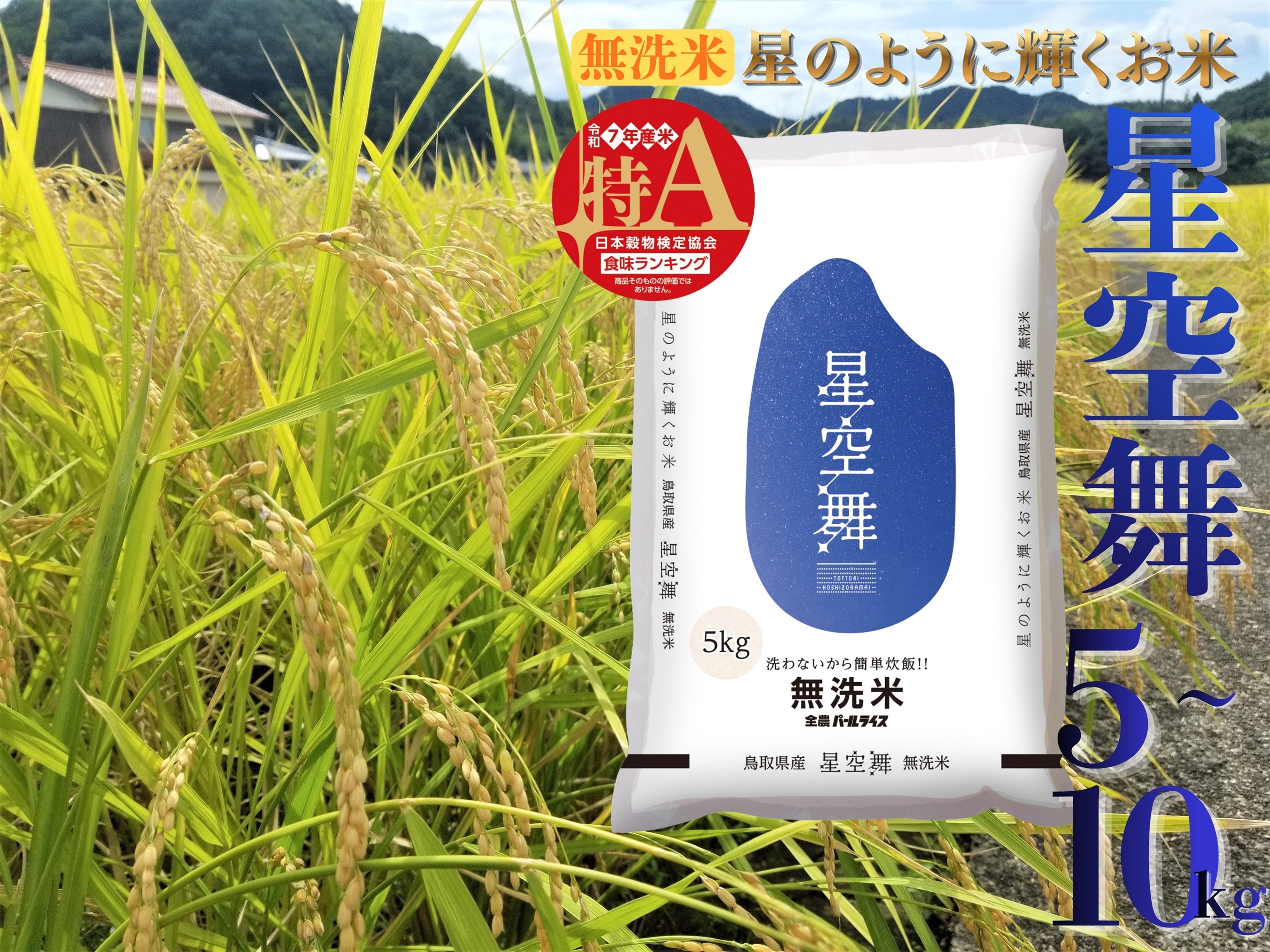 【ふるさと納税】選べる 内容量 星空舞 無洗米 10kg 5kg 令和7年産 鳥取県 送料無料 お米 米 ご飯 銘柄米 ほしぞらまい こめ 白米 おにぎり おむすび 甘い ツヤ 銘柄 湯梨浜町 国産 2025年産 JA 人気 おすすめ 冷めてもおいしい ブランド オリジナル｜鳥取県湯梨浜町