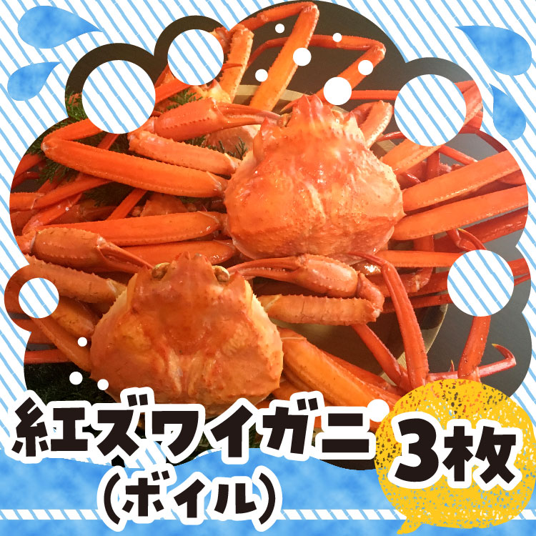 楽天市場 ふるさと納税 紅ズワイガニ ボイル ３枚 着日指定不可 鳥取県琴浦町