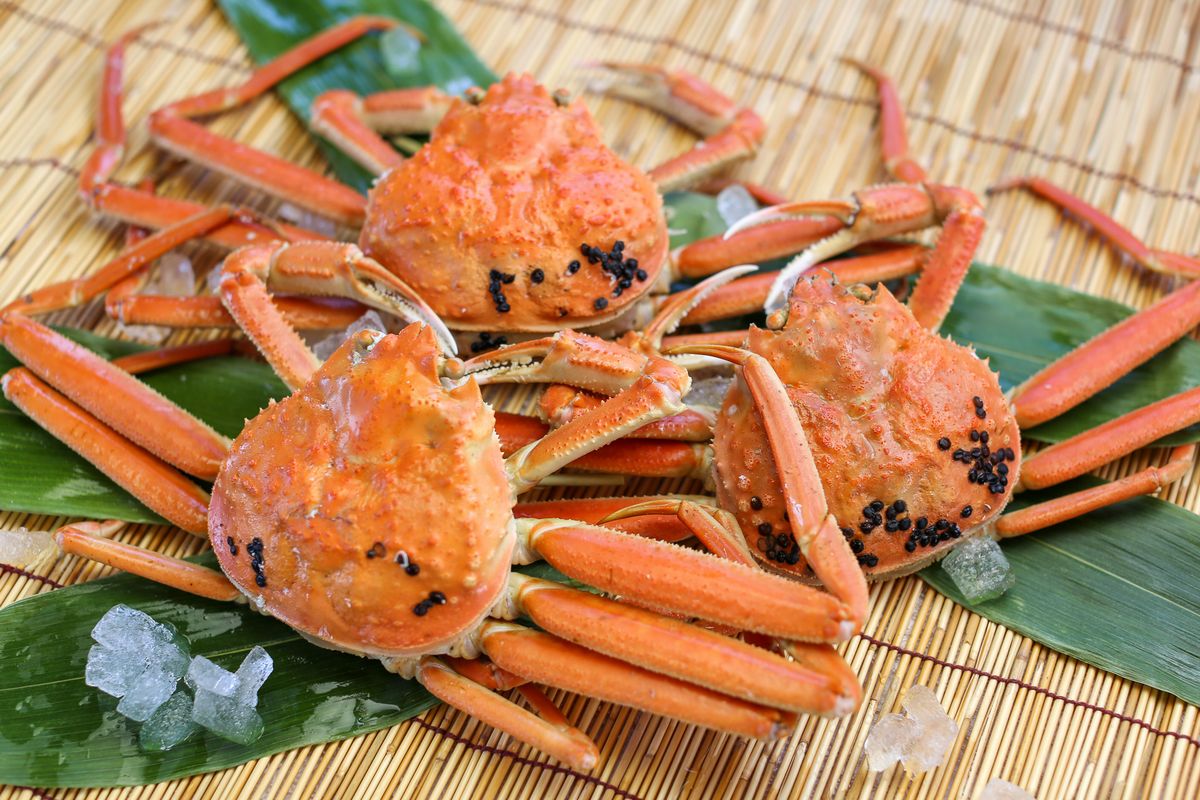 ふるさと納税 9.訳あり 松葉ガニ ボイル 冬バーゲン 約1.5kg 3〜4枚 最大96%OFFクーポン