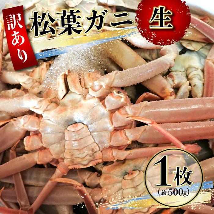 【ふるさと納税】【先行予約】(訳あり)松葉ガニ(生なま) 1枚(約500g)【年内配送】※着日指定不可※北海道、沖縄、一部離島への配送不可《ずわいがに かに カニ 蟹》 | 蟹 魚介類 水産 食品 人気 おすすめ 送料無料|鳥取県琴浦町