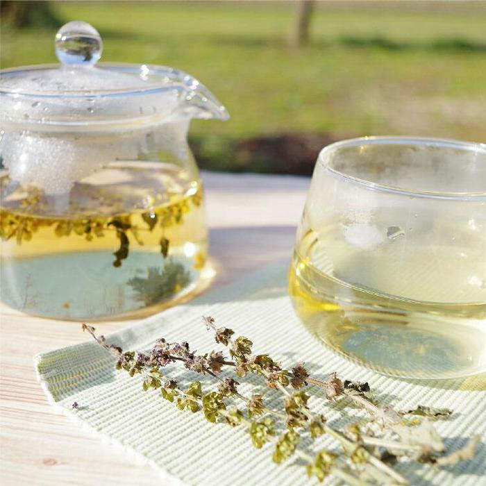 【ふるさと納税】自然栽培 ハーブティー ホーリーバジル 100本（約1ヶ月分） | 飲料 茶葉 ソフトドリンク 人気 おすすめ 送料無料｜鳥取県琴浦町