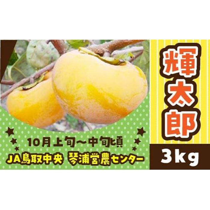 【ふるさと納税】【先行予約】数量限定 鳥取県産柿 輝太郎（きたろう） 3kg | フルーツ 果物 くだもの 食品 人気 おすすめ 送料無料