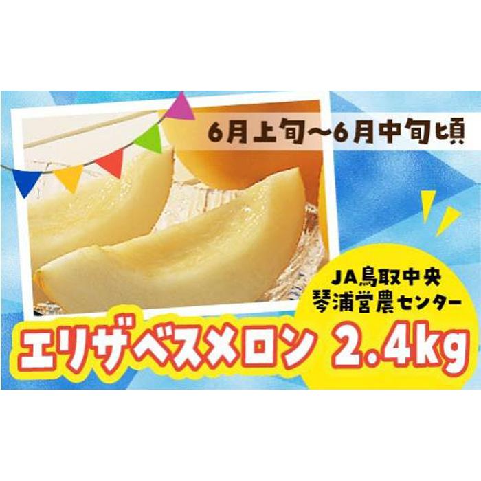 【ふるさと納税】【先行予約】数量限定 鳥取県産 エリザベスメロン 4玉（2.4kg） | フルーツ 果物 食品 人気 おすすめ 送料無料