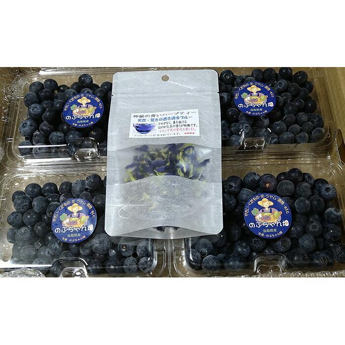 【ふるさと納税】【先行予約】琴浦町産生ブルーベリー１kg（250g×4パック）ハーブティー付 | フルーツ 果物 くだもの 食品 人気 おすすめ 送料無料