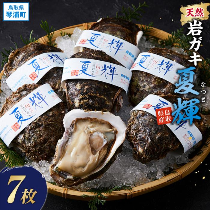 【ふるさと納税】【 先行予約 2025年6月以降発送 】 天然 岩ガキ ( 夏輝 ) 7 枚 | カキ 魚介類 水産 食品 人気 おすすめ 送料無料