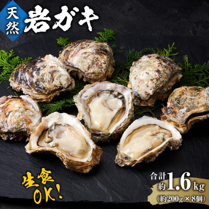 【ふるさと納税】【先行予約 2026年6月以降発送】天然 岩ガキ 約 200 g × 8 個 ※北海道、沖縄、一部離島への配送不可 | カキ 魚介類 水産 食品 人気 おすすめ 送料無料