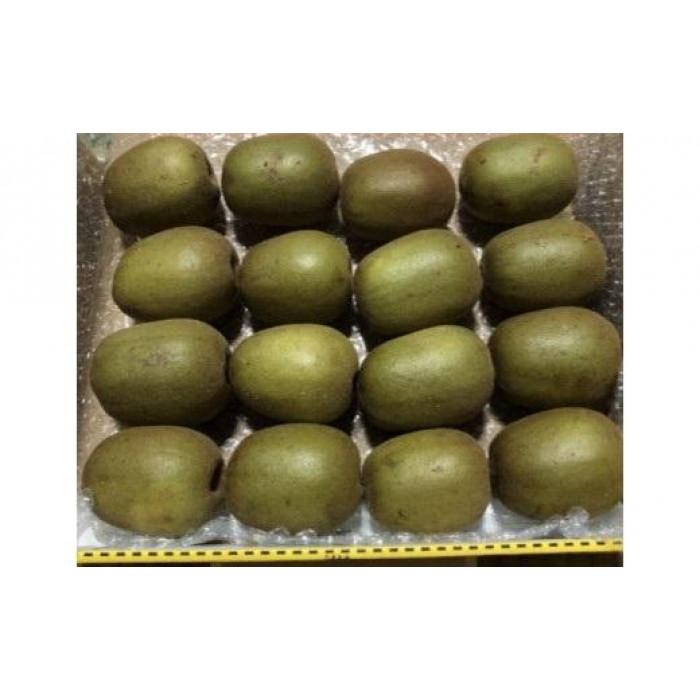 【ふるさと納税】【先行予約】キウイフルーツ（レインボーレッド2kg）と追熟剤セット | フルーツ 果物 くだもの 食品 人気 おすすめ 送料無料