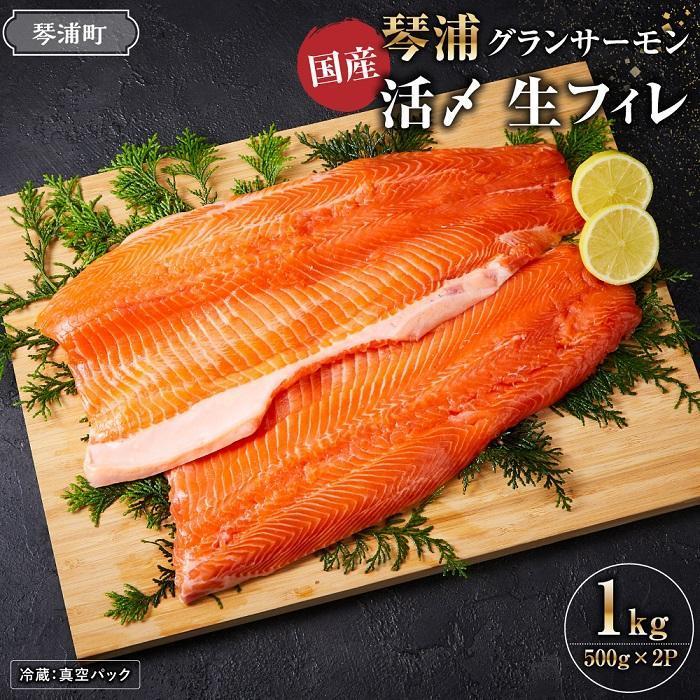【ふるさと納税】＼国産 サーモン／ 琴浦 グランサーモン 約1kg ( 500g × 2p )  | 陸上養殖 フィレ 養殖サーモン 生サーモン 魚 海鮮 魚介 ふるさと納税 鮭 サケ 鮮度抜群 人気 おすすめ 鳥取 グルメ 真空パック 冷蔵 ふるさと サーモン