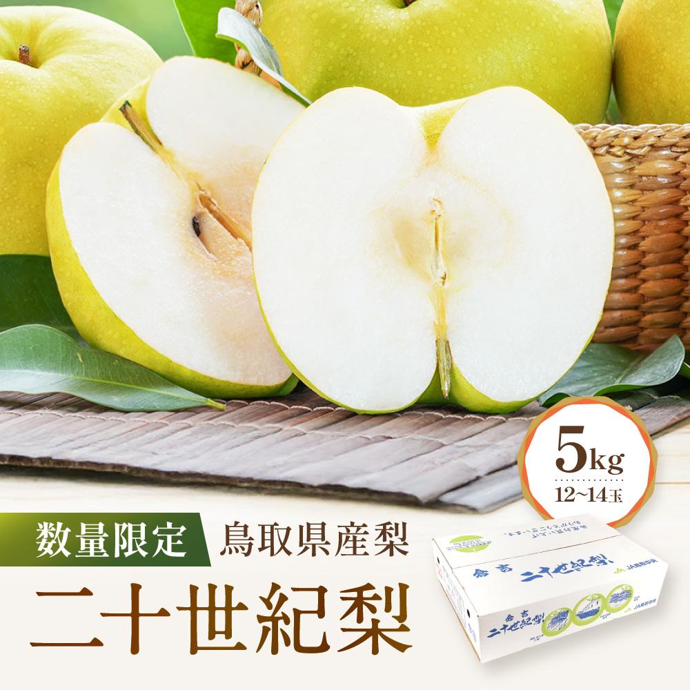 【ふるさと納税】【先行予約】数量限定 鳥取県産梨 二十世紀梨 5kg（12～14玉） | フルーツ 果物 くだもの 食品 人気 おすすめ 送料無料