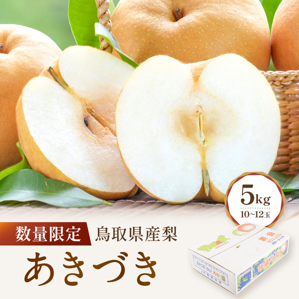 【ふるさと納税】【先行予約】数量限定 鳥取県産梨 あきづき 5kg（10～12玉） | フルーツ 果物 くだもの 食品 人気 おすすめ 送料無料