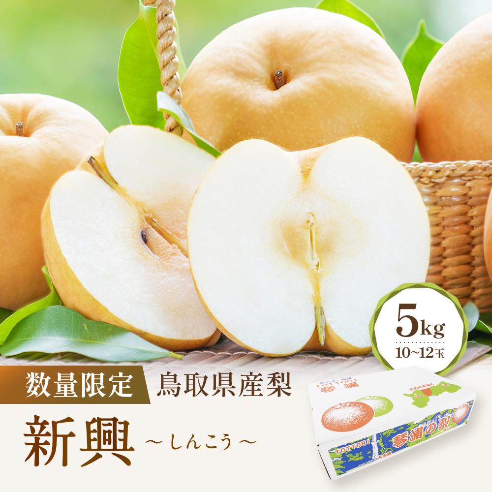 【ふるさと納税】【先行予約】数量限定 鳥取県産梨 新興（しんこう） 5kg（10～12玉） | フルーツ 果物 くだもの 食品 人気 おすすめ 送料無料｜鳥取県琴浦町