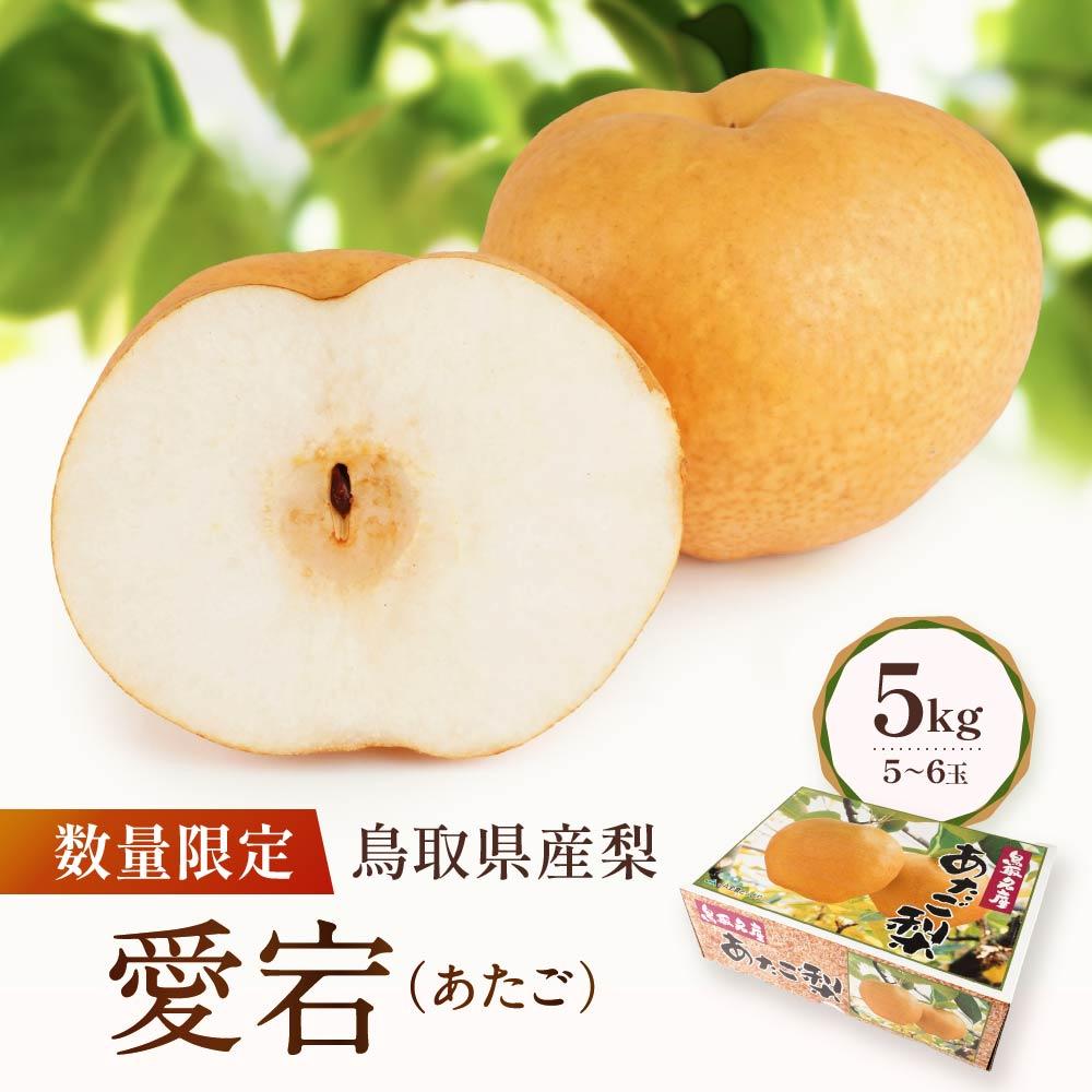 【ふるさと納税】【先行予約】数量限定 鳥取県産梨 愛宕（あたご） 5kg（5～6玉） | フルーツ 果物 くだもの 食品 人気 おすすめ 送料無料
