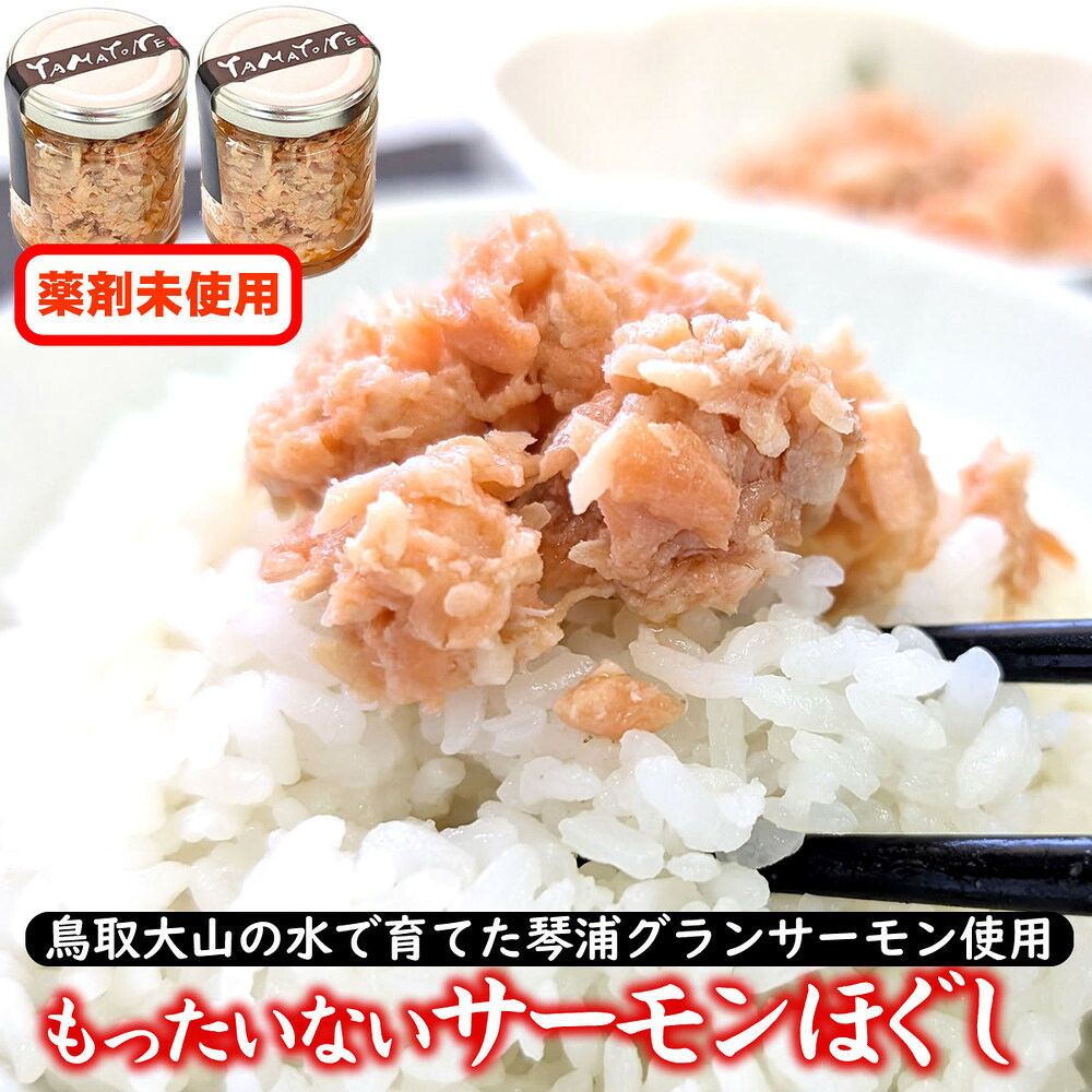 【ふるさと納税】もったいないサーモンほぐし身 2本 国産 鳥取琴浦グランサーモン 無添加 無投薬養殖で安心 訳あり | 国産 鮭 サケ さけ 魚 さかな 海鮮 魚介類 鳥取 人気 おすすめ｜鳥取県琴浦町 8,360円