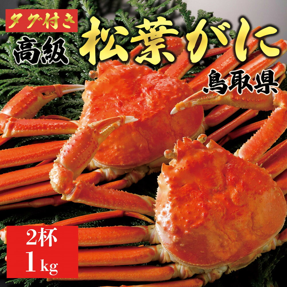 【ふるさと納税】【2026年11月発送】特撰 松葉がに（茹）【ブランドタグ付き】1kg超の大きいサイズ 食べ応えあり 特大2杯｜鳥取県琴浦町